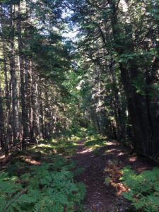 N-P Trail