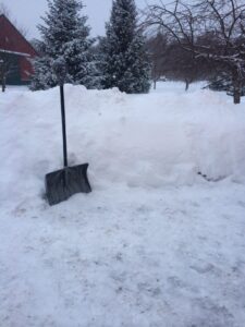 Where are we going to put ALL this snow??