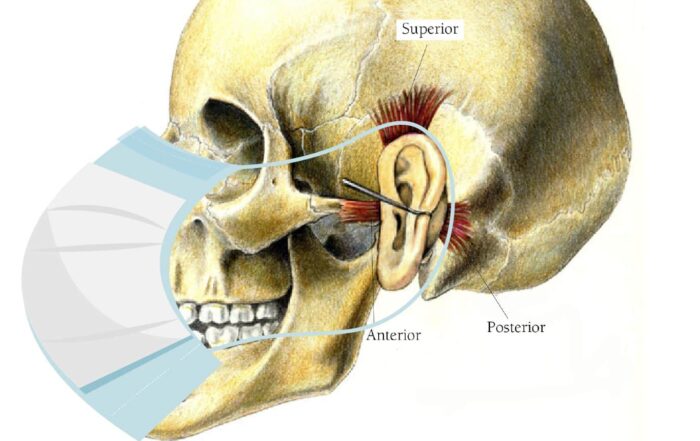 Auricularis with mask 100